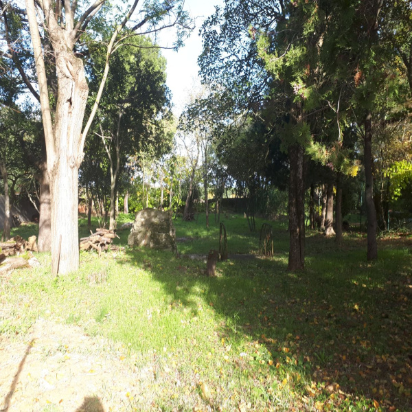 Offres de vente Terrain Carcassonne 11000