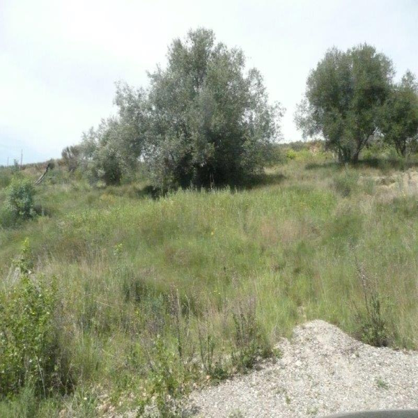 Offres de vente Terrain Couffoulens 11250